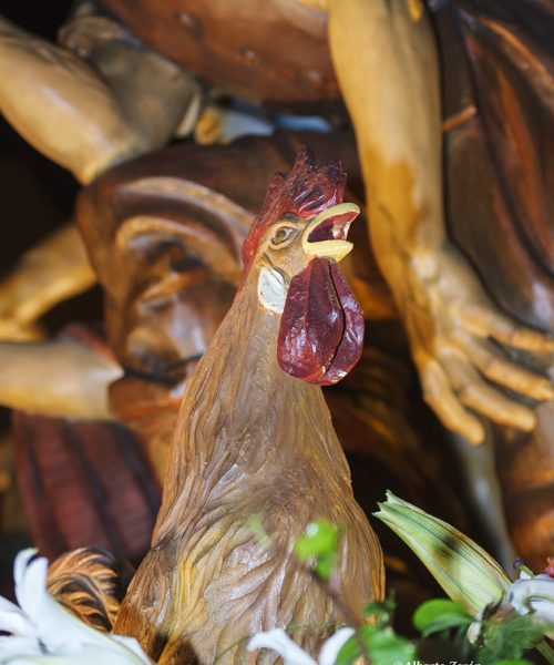 Fotos AlbertoZeron 126